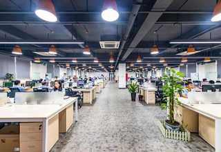 福建专业光学检测哪家好