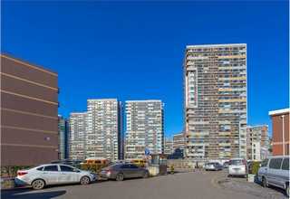 上海正规的新西兰辐射松木条哪家好