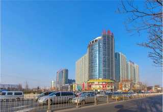 上城区喜湿植物租赁外包